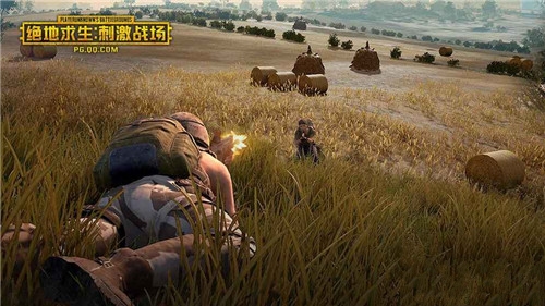 网易吃鸡和腾讯吃鸡哪个好玩_网易吃鸡和腾讯吃鸡区别