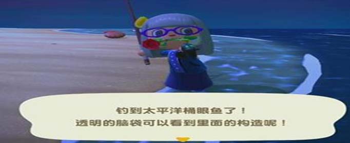 集合啦动物森友会太平洋桶眼鱼在哪钓