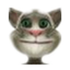 学舌猫 学舌猫