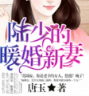 陆少的暖婚新妻全集