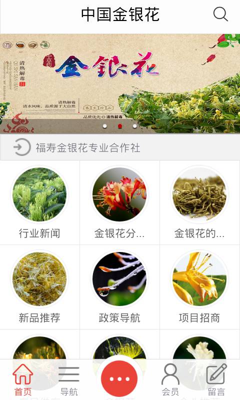 金银花软件截图4