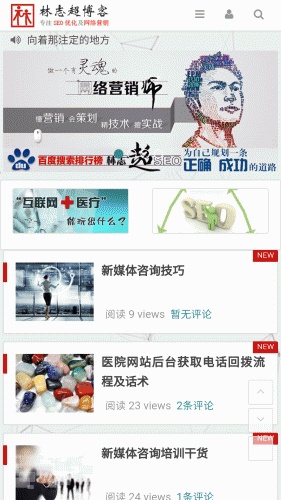 林志超SEO软件截图1