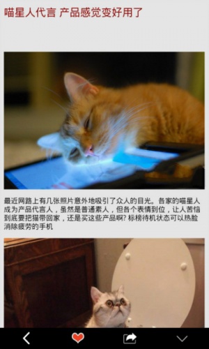 大小猕猴桃软件截图1