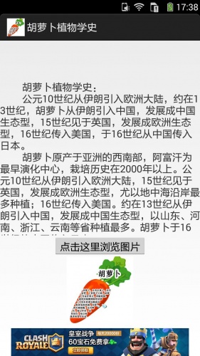 胡萝卜图文资料软件截图1