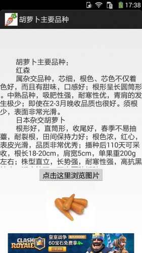 胡萝卜图文资料软件截图1