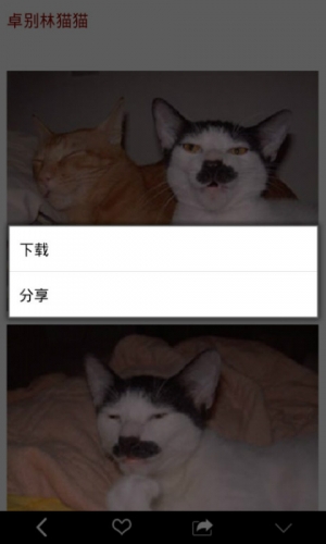 来治猩猩软件截图1